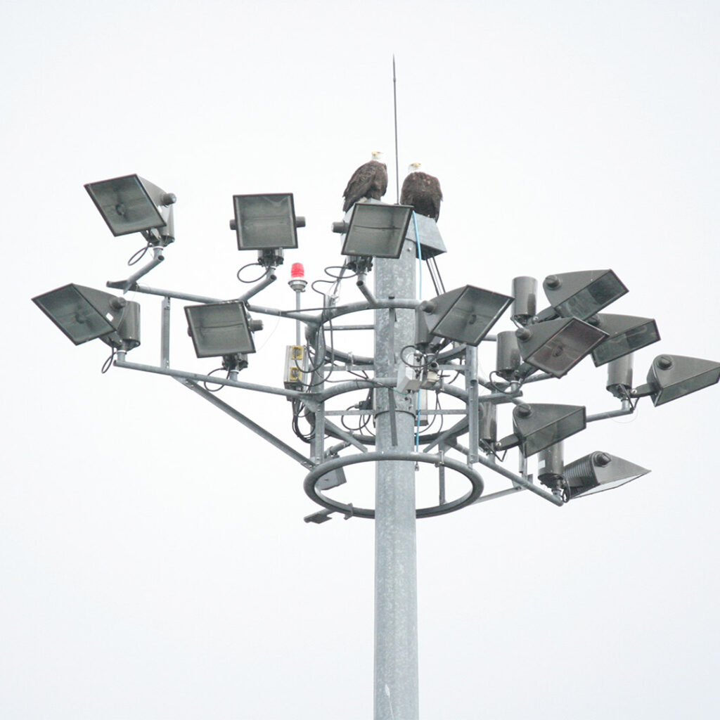 Fairview Container Terminal Expansion High-Mast Light Tower